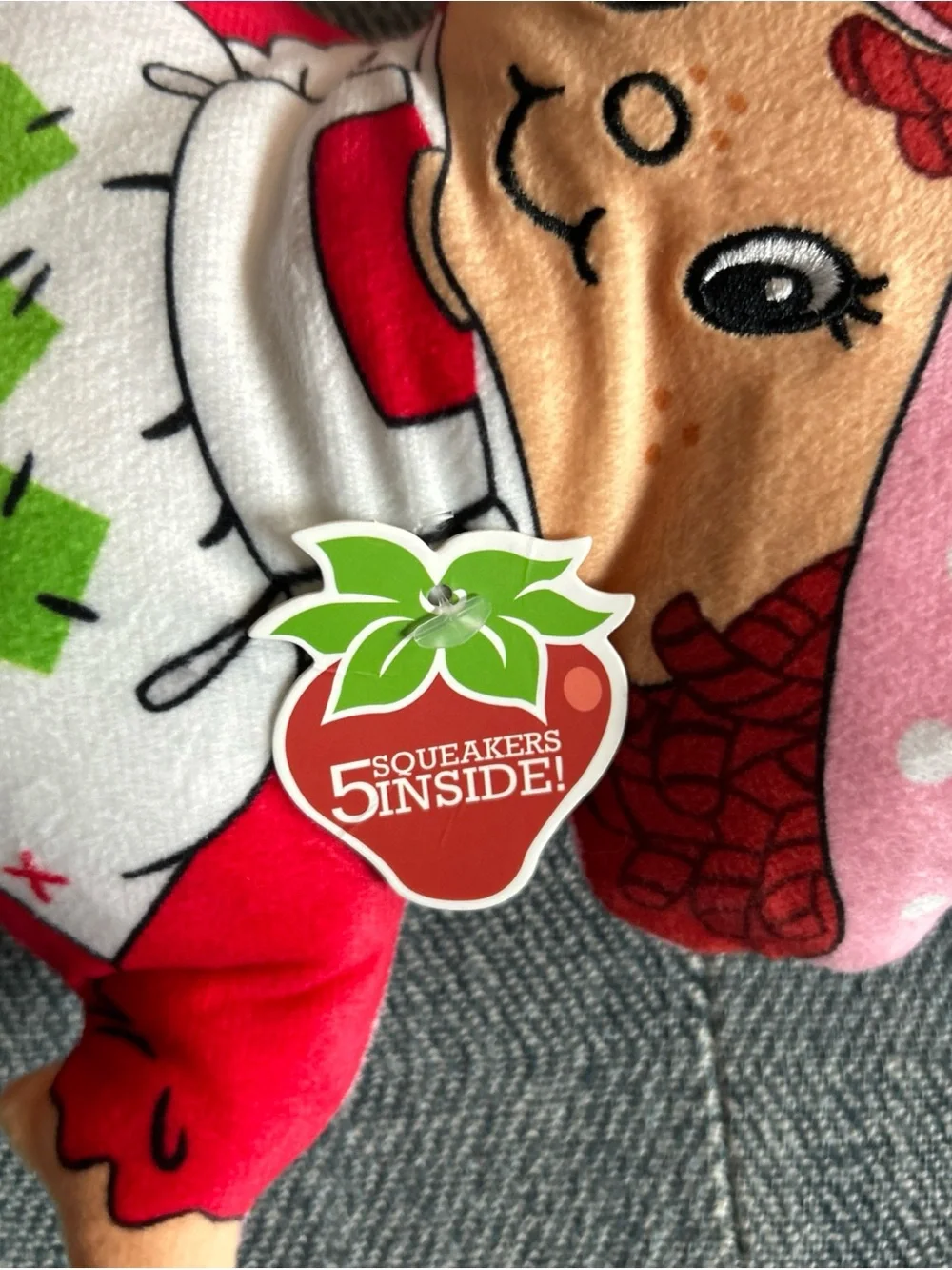 Strawberry Shortcake Dog Toy- NWT